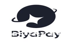 Tokenim 2.0质押DOT挖矿教程：新手必看指南