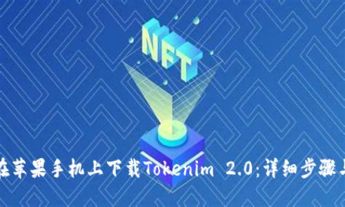 如何在苹果手机上下载Tokenim 2.0：详细步骤与技巧