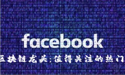 2023年区块链龙头：值得关注的热门品种解析