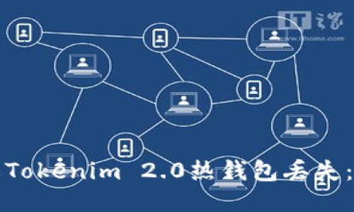 如何防止Tokenim 2.0热钱包丢失：全面指南