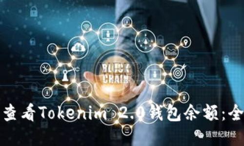 如何查看Tokenim 2.0钱包余额：全攻略