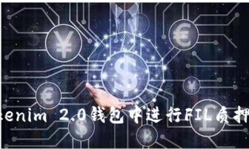 如何在Tokenim 2.0钱包中进行FIL质押：全面指南
