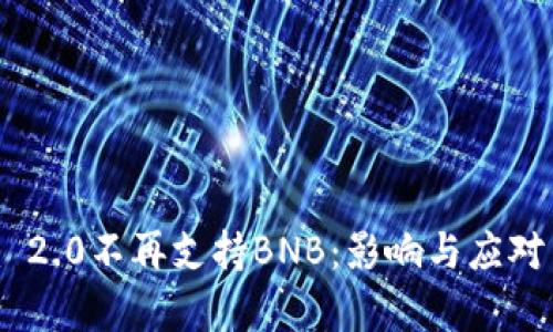 Tokenim 2.0不再支持BNB：影响与应对策略分析