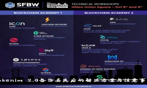 Tokenim 2.0备份丢失后的解决方案与注意事项