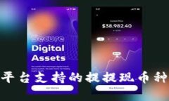 Tokenim平台支持的提提现币种全面解析