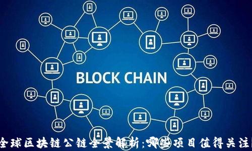 
全球区块链公链全景解析：哪些项目值得关注？