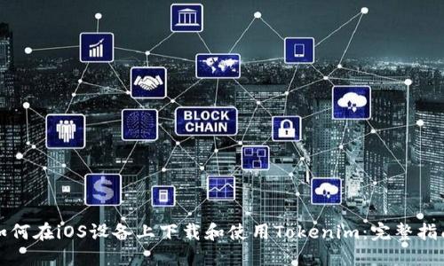 如何在iOS设备上下载和使用Tokenim：完整指南