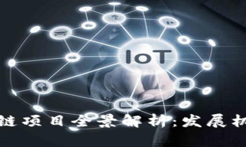 河南洛阳区块链项目全景解析：发展机会与未来前景