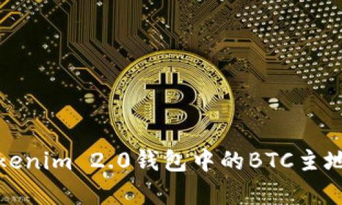 深入解析Tokenim 2.0钱包中的BTC主地址与子地址