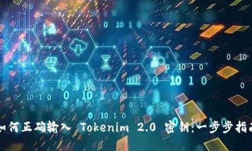 如何正确输入 Tokenim 2.0 密钥：一步步指南