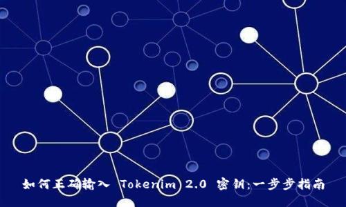 如何正确输入 Tokenim 2.0 密钥：一步步指南