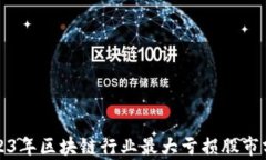 2023年区块链行业最大亏损股市分析