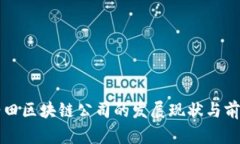 冀东油田区块链公司的发展现状与前景分析