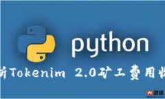 全面解析Tokenim 2.0矿工费用收取机制