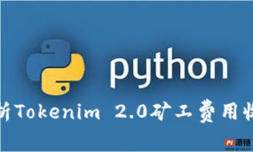 全面解析Tokenim 2.0矿工费用收取机制