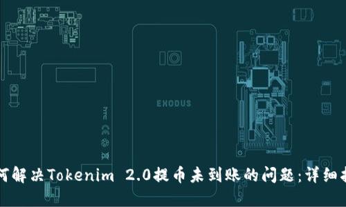 如何解决Tokenim 2.0提币未到账的问题：详细指南