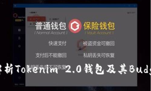 全面解析Tokenim 2.0钱包及其Budge功能