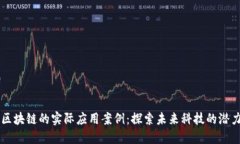 区块链的实际应用案例：探索未来科技的潜力