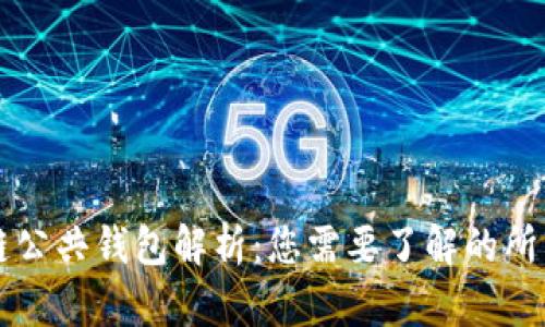 区块链公共钱包解析：您需要了解的所有信息