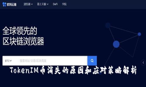 TokenIM币消失的原因和应对策略解析