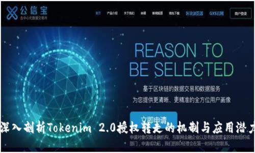 深入剖析Tokenim 2.0授权转走的机制与应用潜力