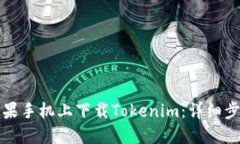 如何在苹果手机上下载Tokenim：详细步骤与指南