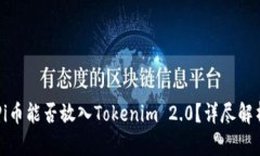 ### Pi币能否放入Tokenim 2.0？详尽解析与分析