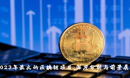 2023年最火的区块链项目：深度分析与前景展望