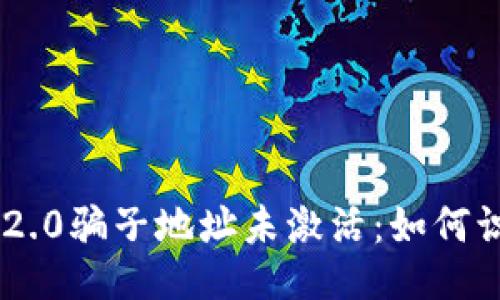 Tokenim 2.0骗子地址未激活：如何识别与应对