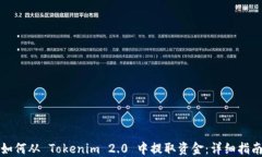 如何从 Tokenim 2.0 中提取资金：详细指南