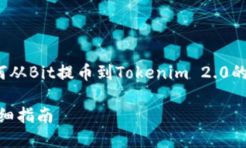 为了更有效地回答您的问题，我将为您提供一个关于如何从Bit提币到Tokenim 2.0的完整指南，包括、相关关键词、内容大纲，以及相关的问题。

### 如何将Bit中的数字货币提币到Tokenim 2.0：详细指南