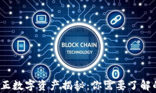 
区块链真正数字资产揭秘：你需要了解的5大类别