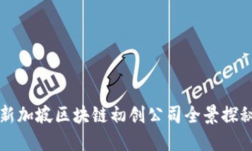 新加坡区块链初创公司全景探秘