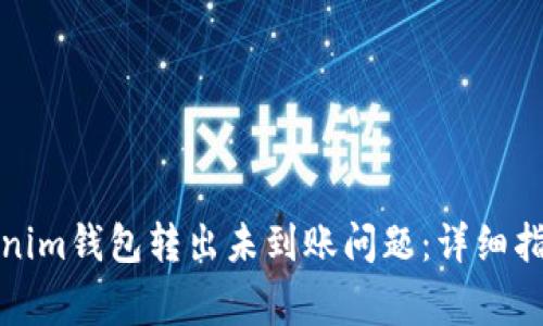 如何解决Tokenim钱包转出未到账问题：详细指南与常见问答