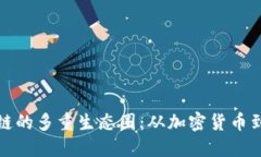 探秘区块链的多重生态圈：从加密货币到智能合