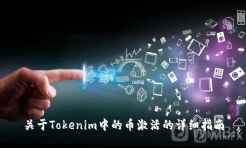 关于Tokenim中的币激活的详细指南
