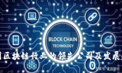 中国区块链行业的领先公司及发展趋势