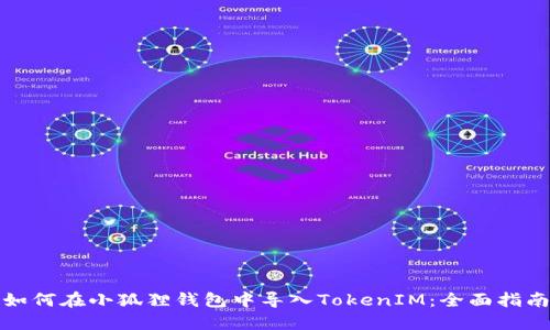 如何在小狐狸钱包中导入TokenIM：全面指南