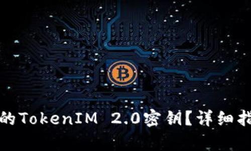 如何恢复丢失的TokenIM 2.0密钥？详细指南与解决方案