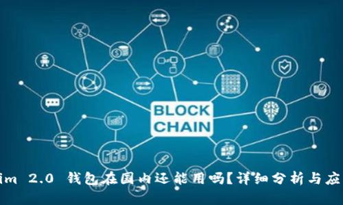 Tokenim 2.0 钱包在国内还能用吗？详细分析与应用指南