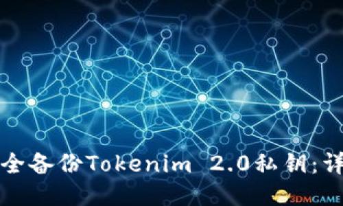 如何安全备份Tokenim 2.0私钥:详细指南