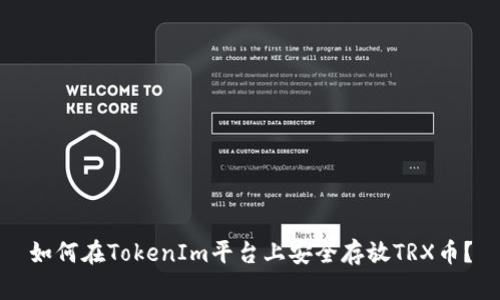 如何在TokenIm平台上安全存放TRX币？