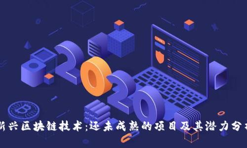新兴区块链技术：还未成熟的项目及其潜力分析