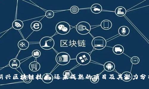 新兴区块链技术：还未成熟的项目及其潜力分析