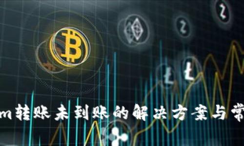 Tokenim转账未到账的解决方案与常见问题