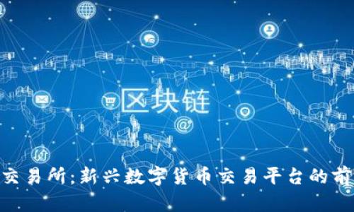 Tokenim交易所：新兴数字货币交易平台的前景与挑战