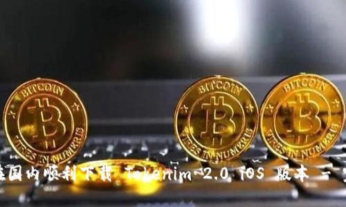 : 如何在国内顺利下载 Tokenim 2.0 iOS 版本 - 完整指南