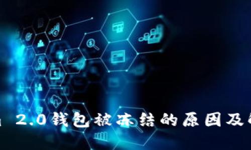 Tokenim 2.0钱包被冻结的原因及解决方案