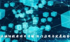 区块链技术项目详解：热门应用与发展趋势