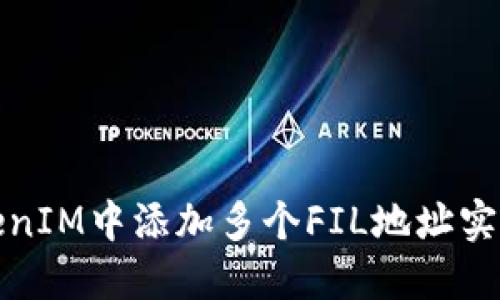 如何在TokenIM中添加多个FIL地址实现余额管理